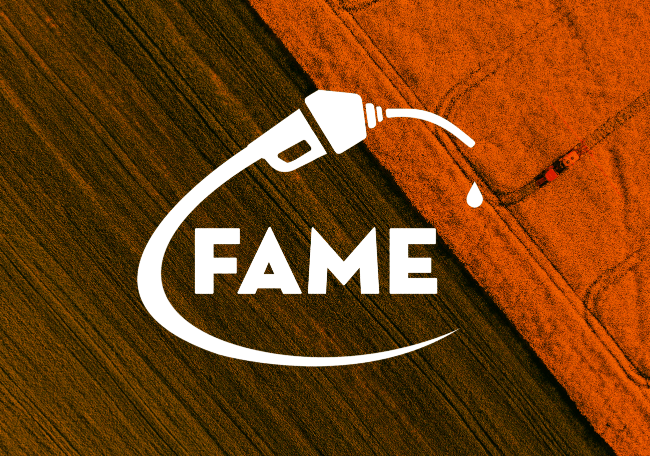 Newsletter FAME PIUSI 1