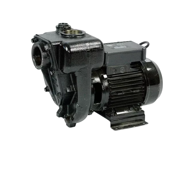 E 300 ac pumps pumps piusi 1